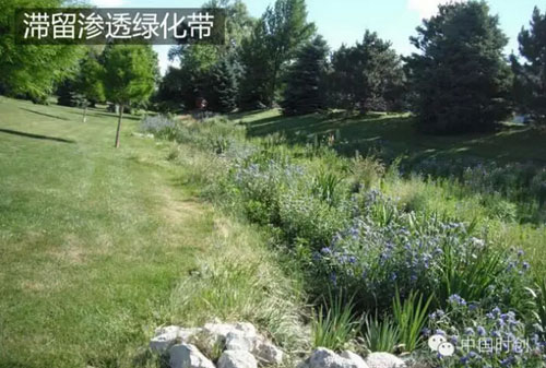 泄留渗透绿化带