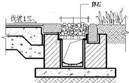园林绿化排水沟铺装卵石